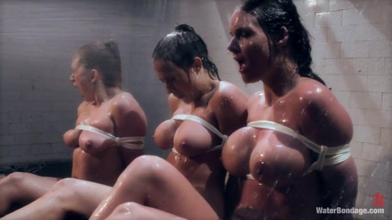 Bobbi Starr, Phoenix Marie, Lea Lexis, Chanel Preston (casa porno)