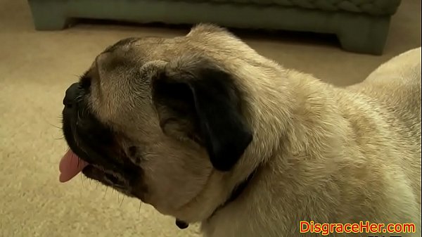 Gedemütigter Amateur, der von einem Fremden gevögelt wird