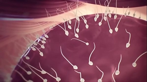 È facile e veloce creare un b.