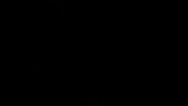 Crónicas sexuales de bae y yo