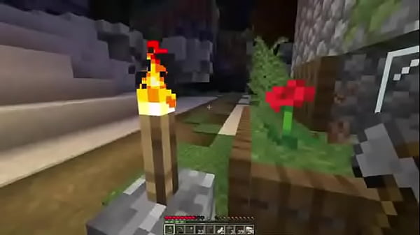 Giochiamo a Minecraft #1