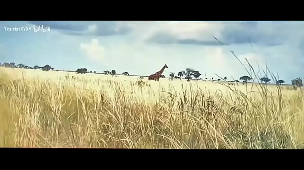 In Whose Name Full Movie