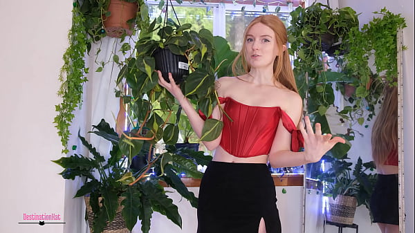 Novas plantas que comprei recentemente