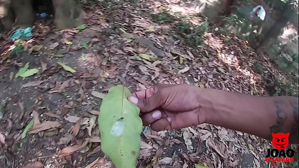 I quickly ate Novinha no Mato until I enjoyed it