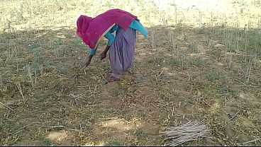 Xem video đẹp thổi kèn tuổi teen