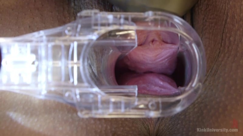 Ku 40137 chahut et marguerite ducati